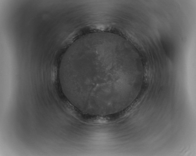 X0000113080656200908281224