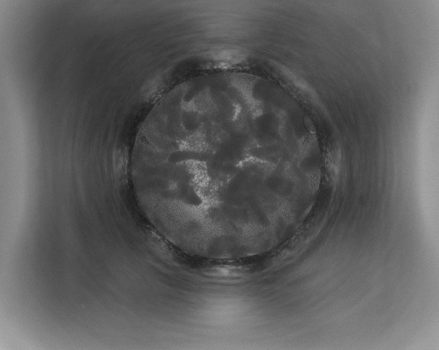 X0000113080657200908281224