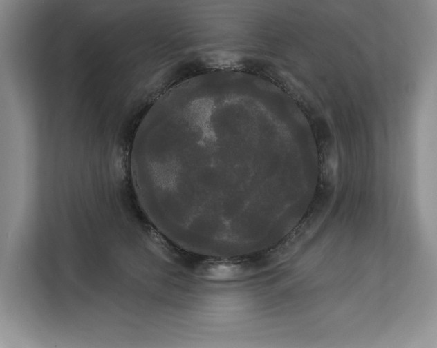 X0000113080658200908281224