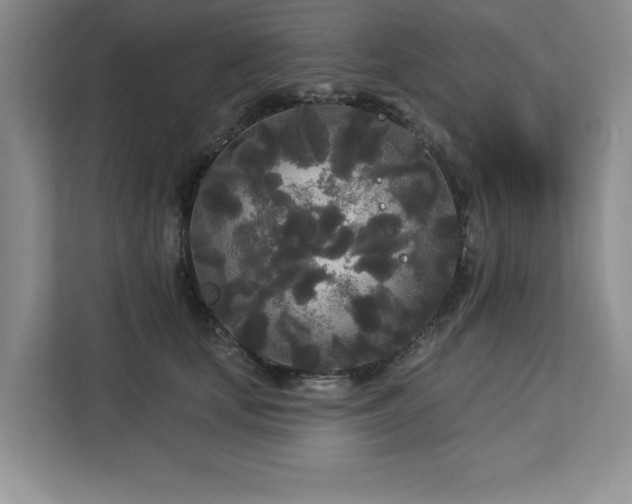 X0000113080659200908281224