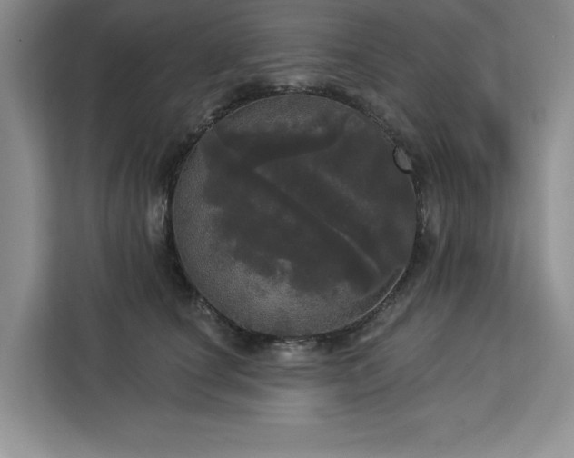 X0000113080660200908281224