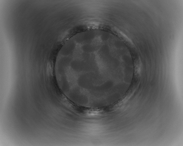 X0000113080661200908281224