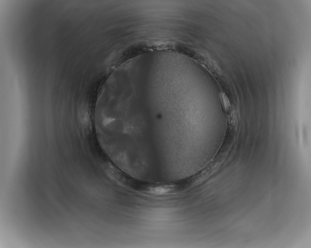 X0000113080662200908281224