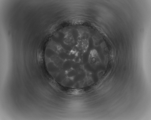 X0000113080663200908281224