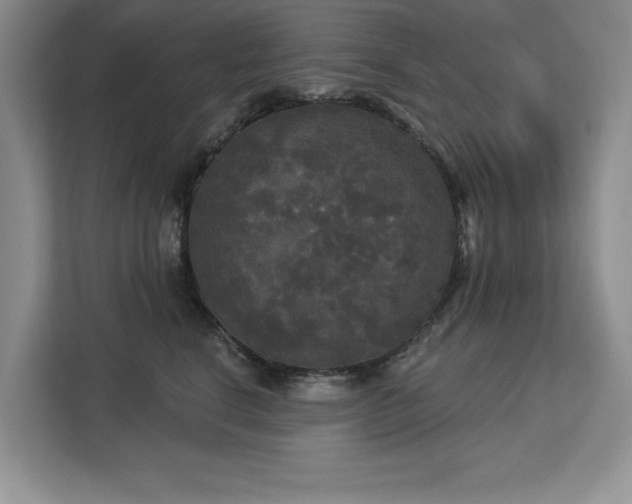 X0000113080664200908281224