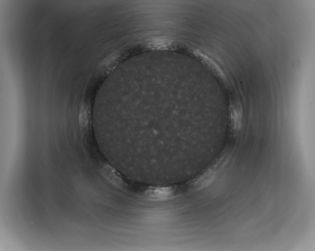 X0000113080665200908281224