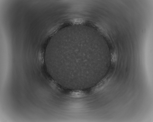 X0000113080666200908281224