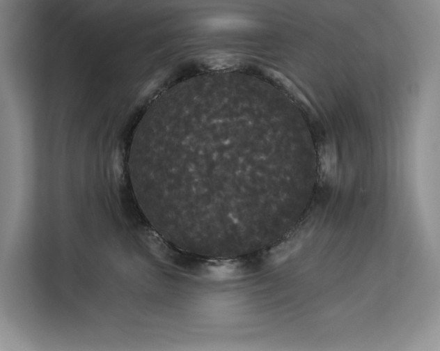 X0000113080667200908281224