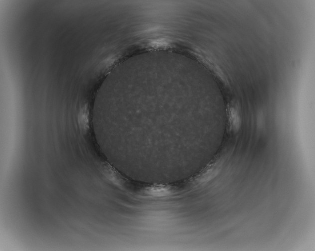 X0000113080668200908281224