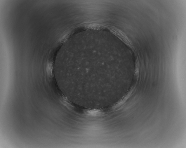 X0000113080669200908281224