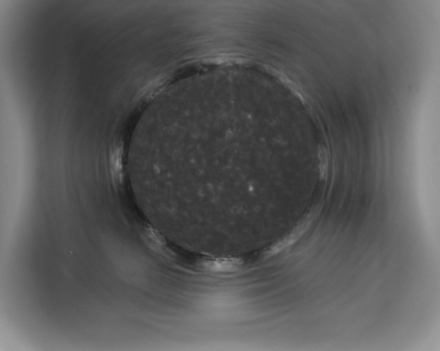 X0000113080670200908281224