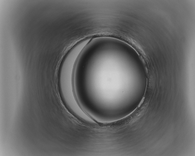 X0000113080673200908281224