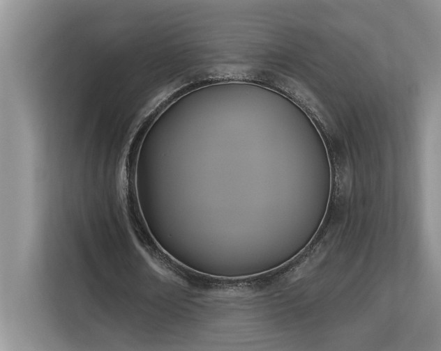 X0000113080674200908281224