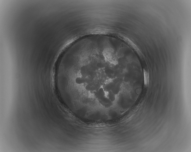 X0000113080675200908281224