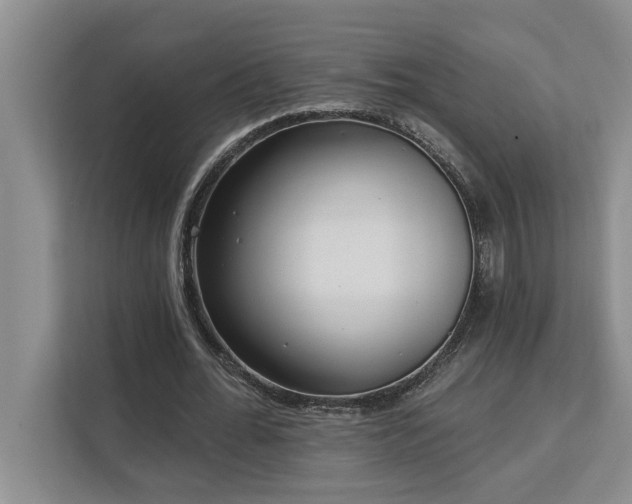 X0000113080676200908281224