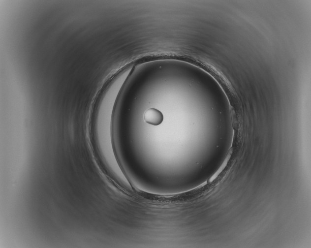 X0000113080677200908281224