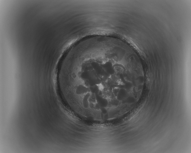 X0000113080679200908281223