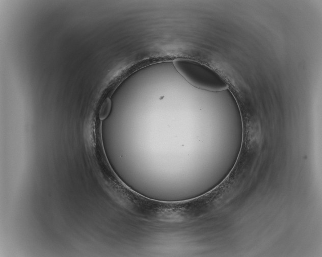 X0000113080680200908281223