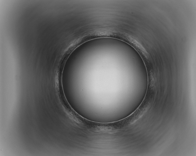 X0000113080681200908281223