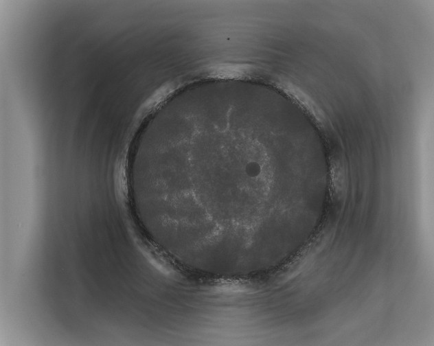 X0000113080682200908281223