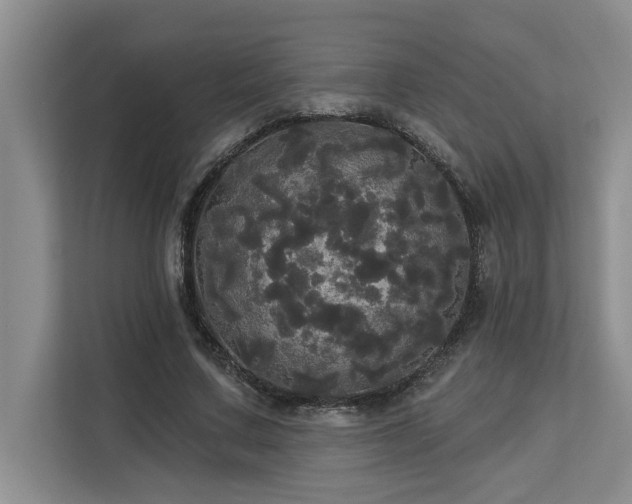 X0000113080683200908281223