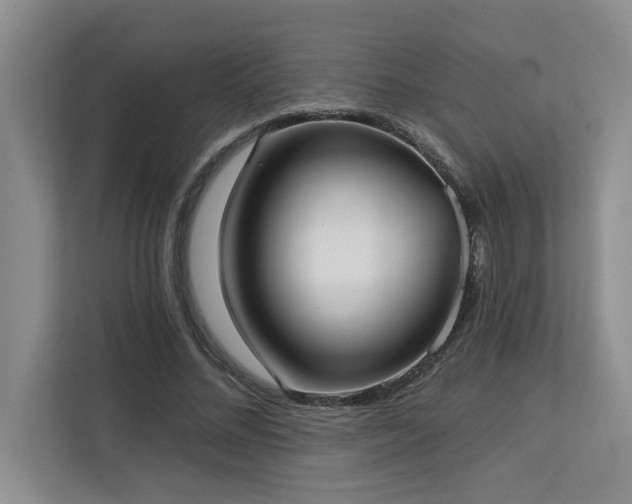 X0000113080684200908281223