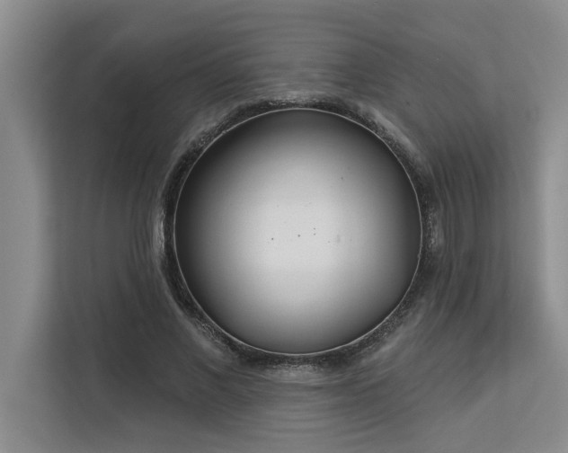 X0000113080685200908281223