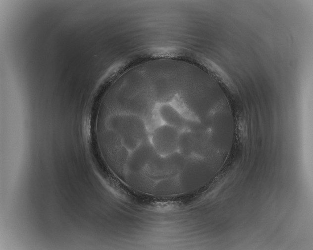 X0000113080686200908281223