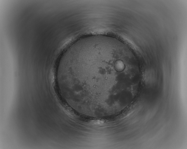 X0000113080687200908281223