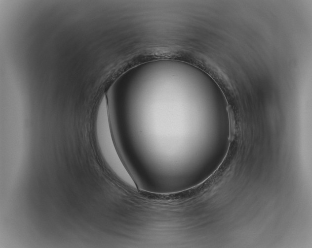 X0000113080689200908281223