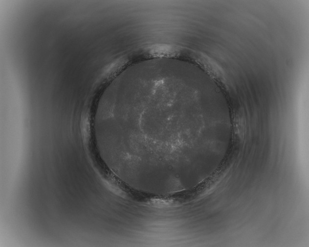 X0000113080690200908281223