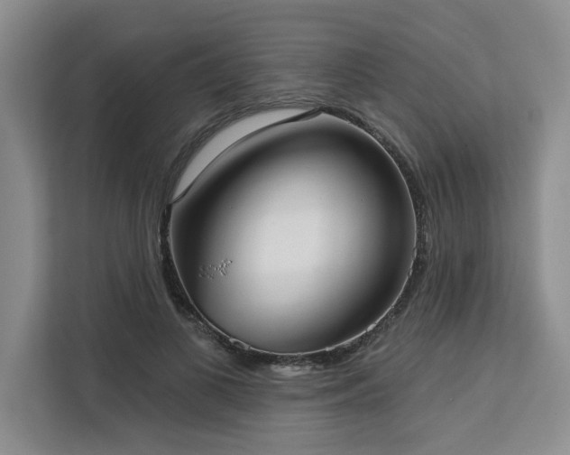 X0000113080693200908281223