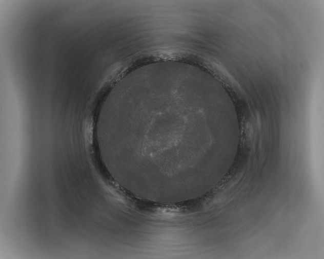 X0000113080694200908281223