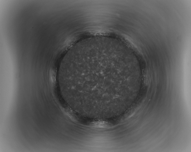 X0000113080695200908281223