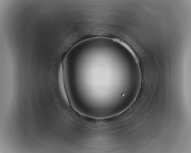 X0000113080696200908281223