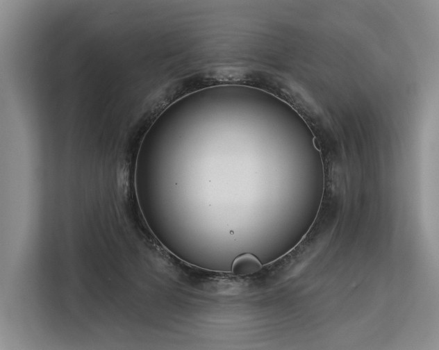 X0000113080697200908281223