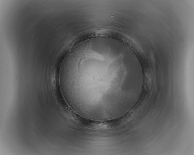 X0000113080698200908281223