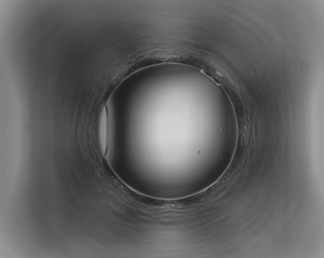 X0000113080700200908281223