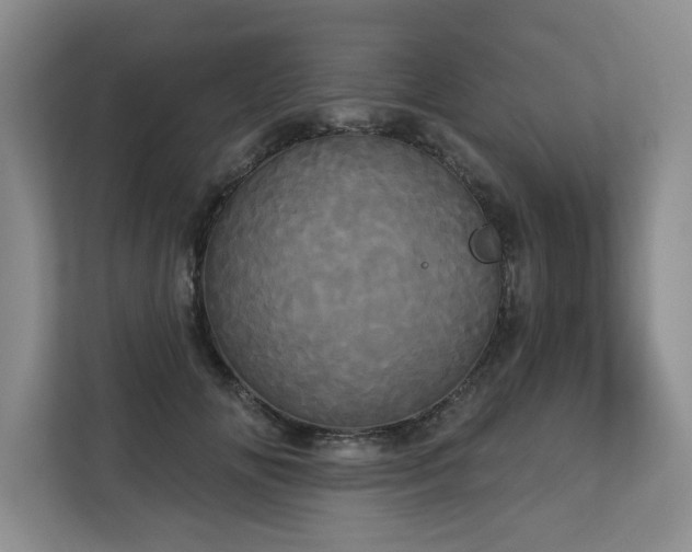 X0000113080702200908281223