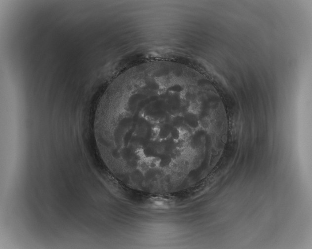 X0000113080703200908281223