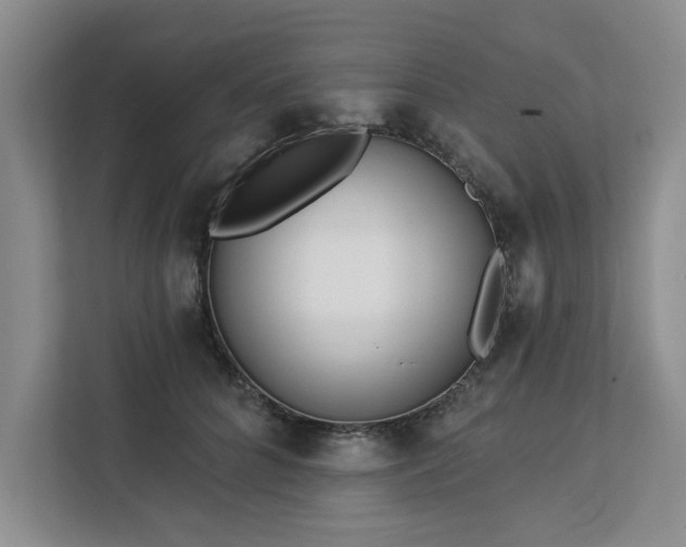 X0000113080704200908281223