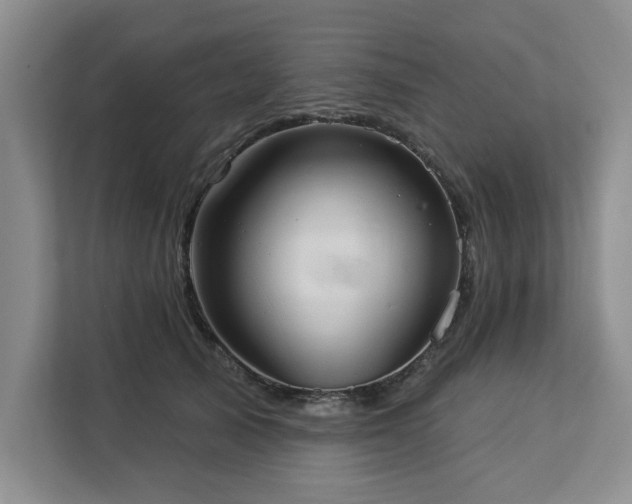 X0000113080705200908281223