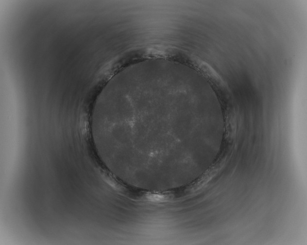 X0000113080706200908281223