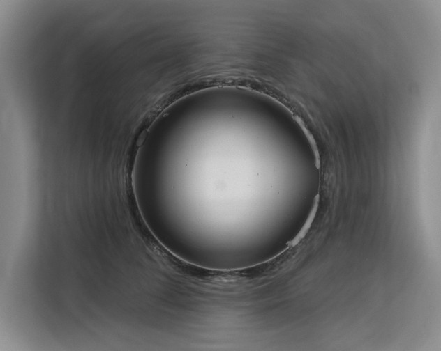 X0000113080708200908281223