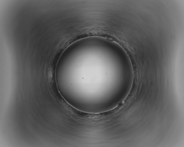 X0000113080709200908281223