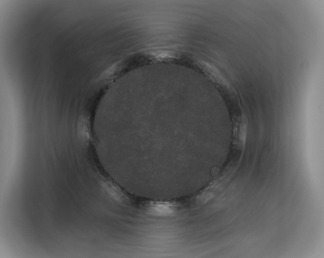 X0000113080710200908281223