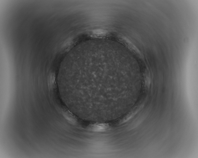 X0000113080711200908281223