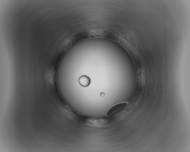 X0000113080712200908281223