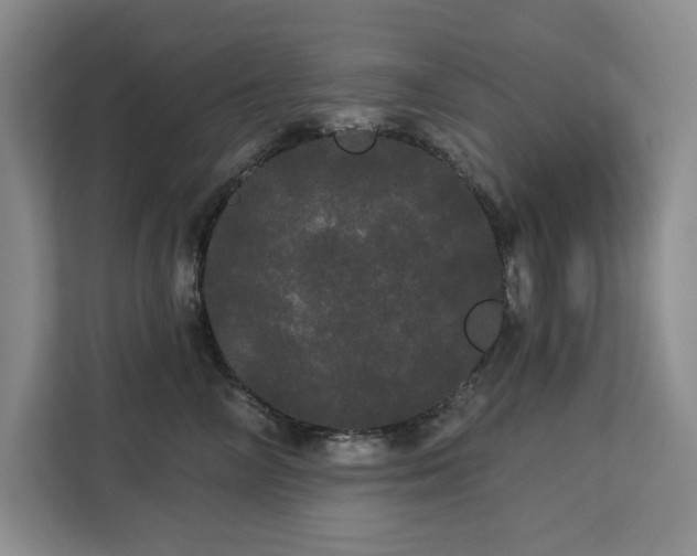 X0000113080714200908281223