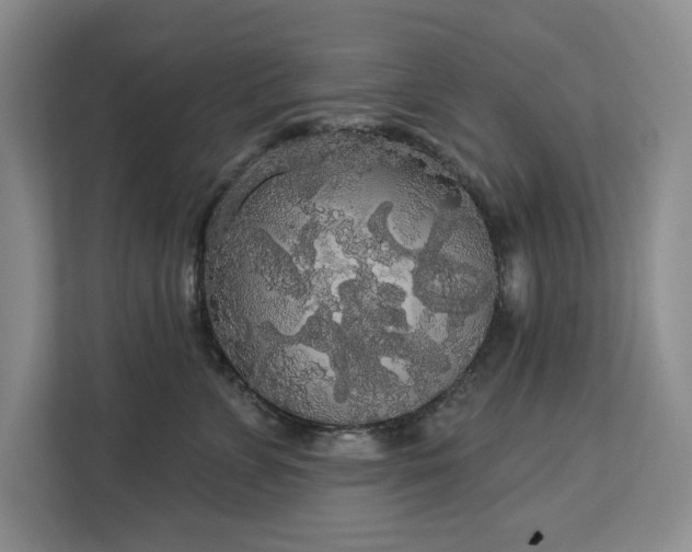 X0000113080715200908281223